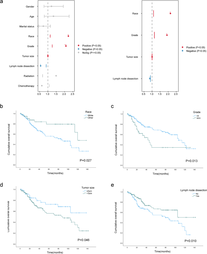 Construction and validation of a novel prognostic model for ...