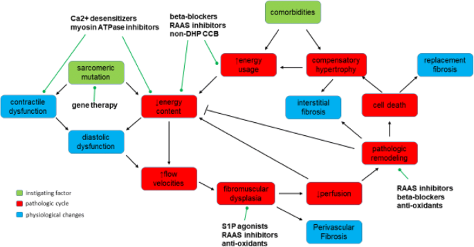 Increased Collagen Turnover Is a Feature of Fibromuscular