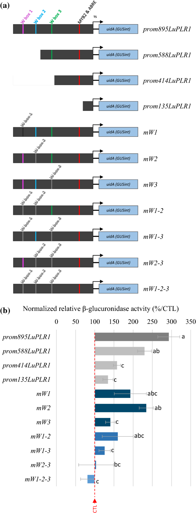 Characterization Of Luwrky36 A Flax Transcription Factor Promoting Secoisolariciresinol Biosynthesis In Response To Fusarium Oxysporum Elicitors In Linum Usitatissimum L Hairy Roots Springerlink