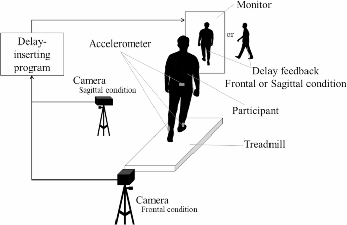 Walk Sen Visual Sensorimotor incongruence during walking using delayed visual feedback ...