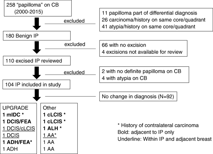 intraductalis papilloma b3 hpv méh rák