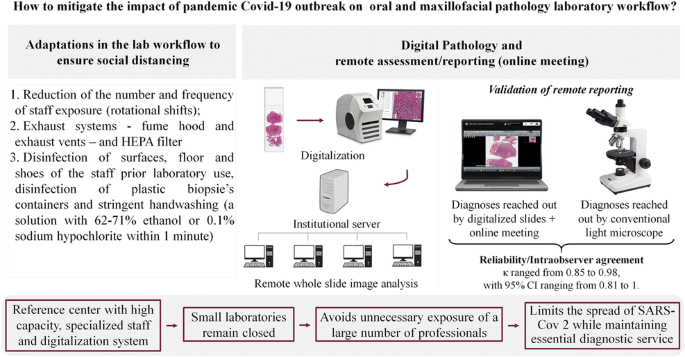 Fully digital pathology laboratory routine and remote reporting of oral and  maxillofacial diagnosis during the COVID-19 pandemic: a validation study |  SpringerLink