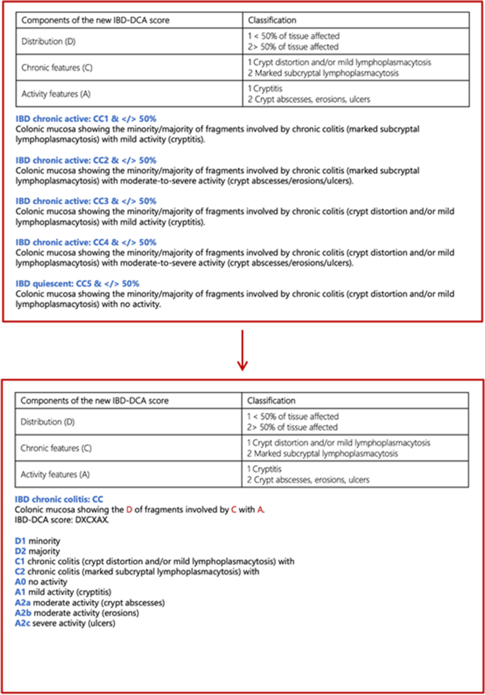 Implementation of IBD-DCA for ulcerative colitis: a single-institution ...