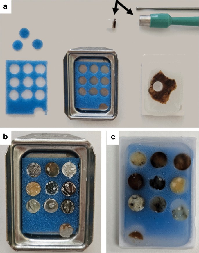 An easy and reproducible method for rapid tissue macroarray block ...