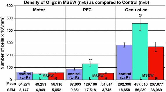 Ressa slope stability