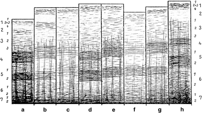 figure 27