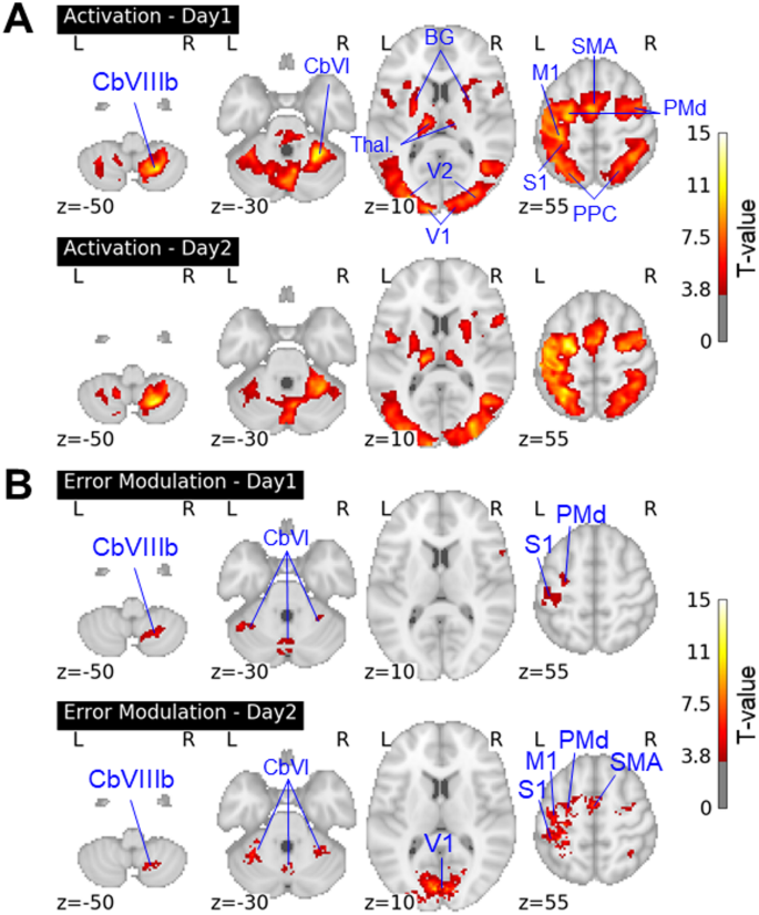 Savings in visuomotor learning are associated with connectivity changes ...