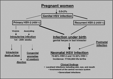 Herpes Simplex And Varicella Zoster Virus Infections During Pregnancy Current Concepts Of Prevention Diagnosis And Therapy Part 1 Herpes Simplex Virus Infections Springerlink