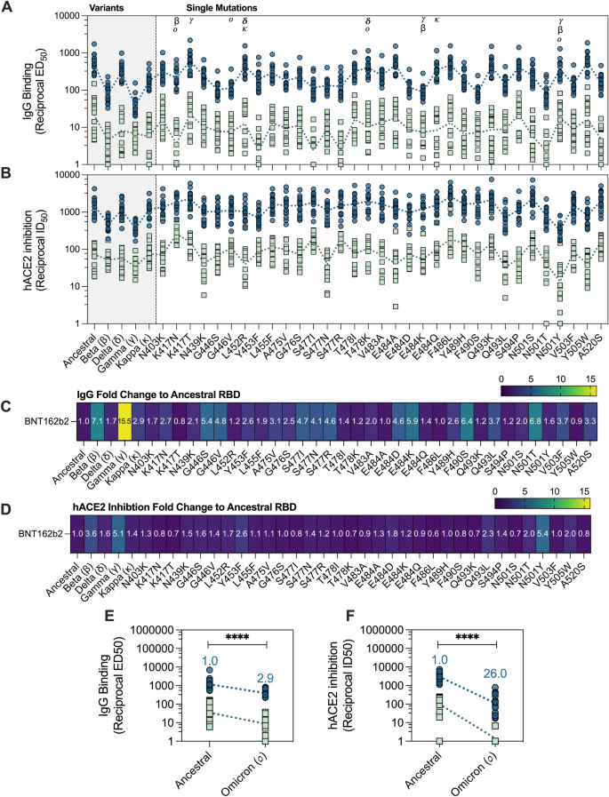 Class switch toward noninflammatory, spike-specific IgG4 antibodies after  repeated SARS-CoV-2 mRNA vaccination