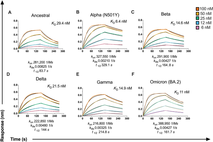 Class switch toward noninflammatory, spike-specific IgG4 antibodies after  repeated SARS-CoV-2 mRNA vaccination