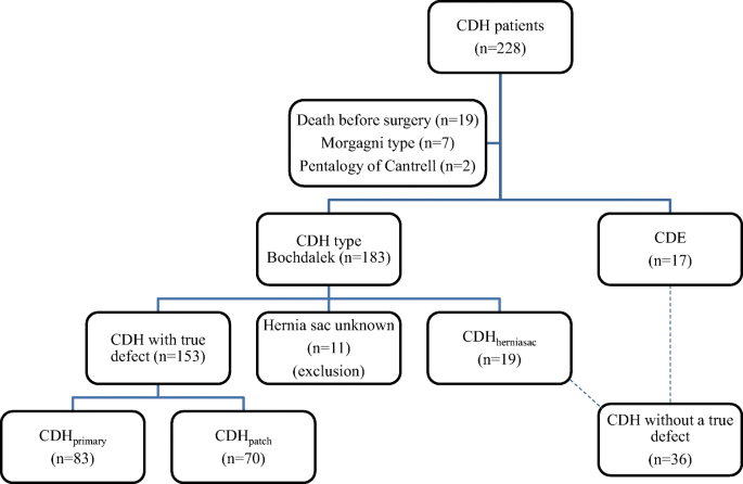 Congenital diaphragmatic eventration and hernia sac compared to CDH with  true defects: a retrospective cohort study | SpringerLink