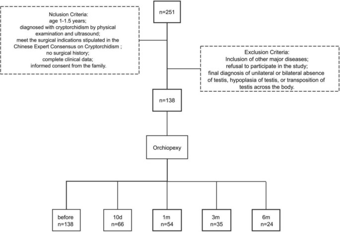 Evaluation of testicular function in 1–2-year-old cryptorchid children ...