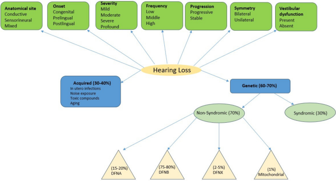 Hearing loss: a global view for gene therapy approaches and challenges ...