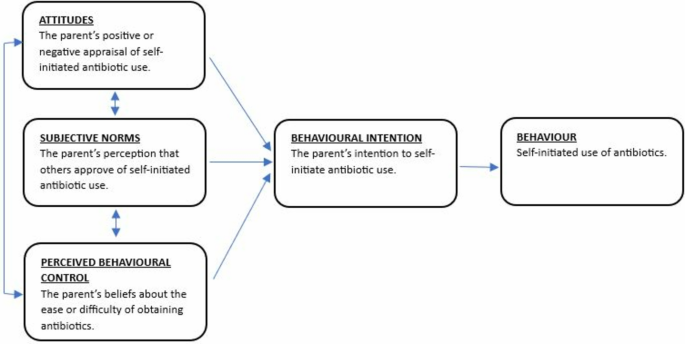 The Antibiotic Use Questionnaire-Parent Version: a measure of the ...
