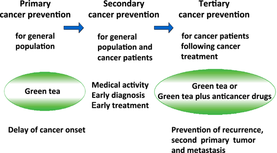 Primary secondary tertiary. Primary перевод. secondary prevention. primary and secondary modality.
