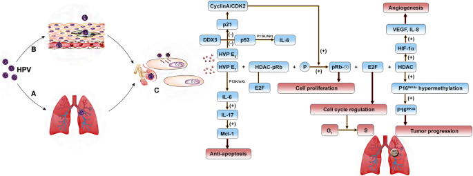 fascioliasis și opistorhiasis