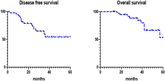 Patterns of failure after adjuvant “sandwich” chemo-radio-chemotherapy in  locally advanced (stage III–IVA) endometrial cancer | SpringerLink