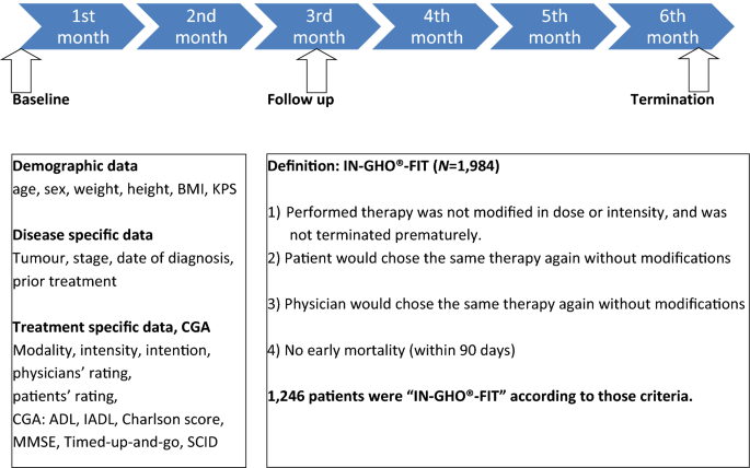 Patient assessment and feasibility of treatment in older patients with  cancer: results from the IN-GHO® Registry | Journal of Cancer Research and  Clinical Oncology