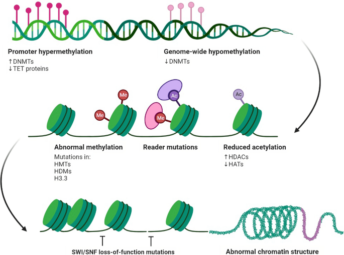 antigen presentation figure 5