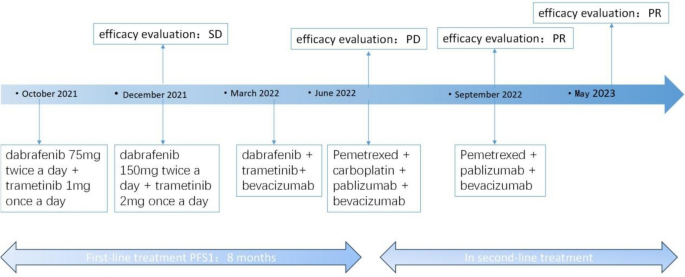 case study of a lung cancer patient figure 2