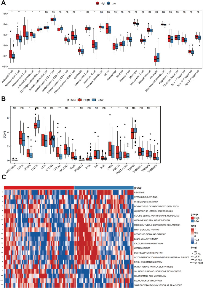 what is the outcome variable in research figure 2