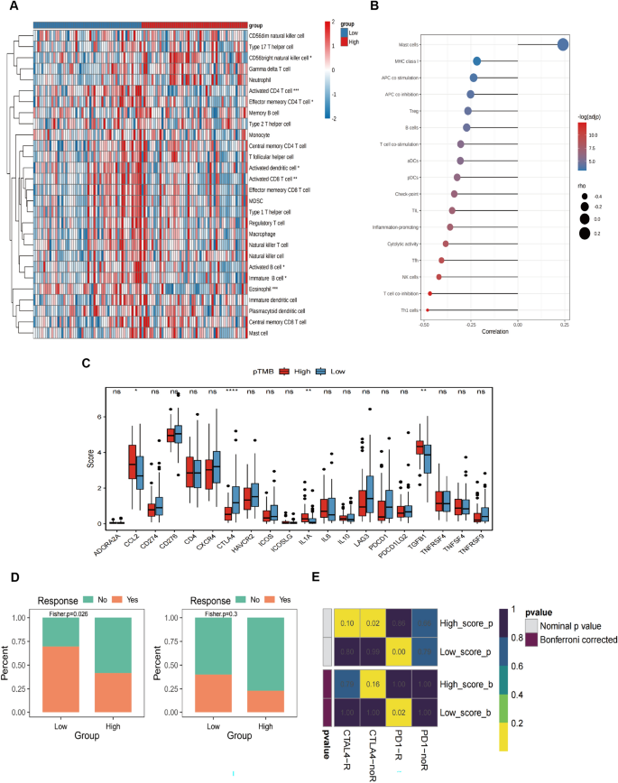 what is the outcome variable in research figure 5