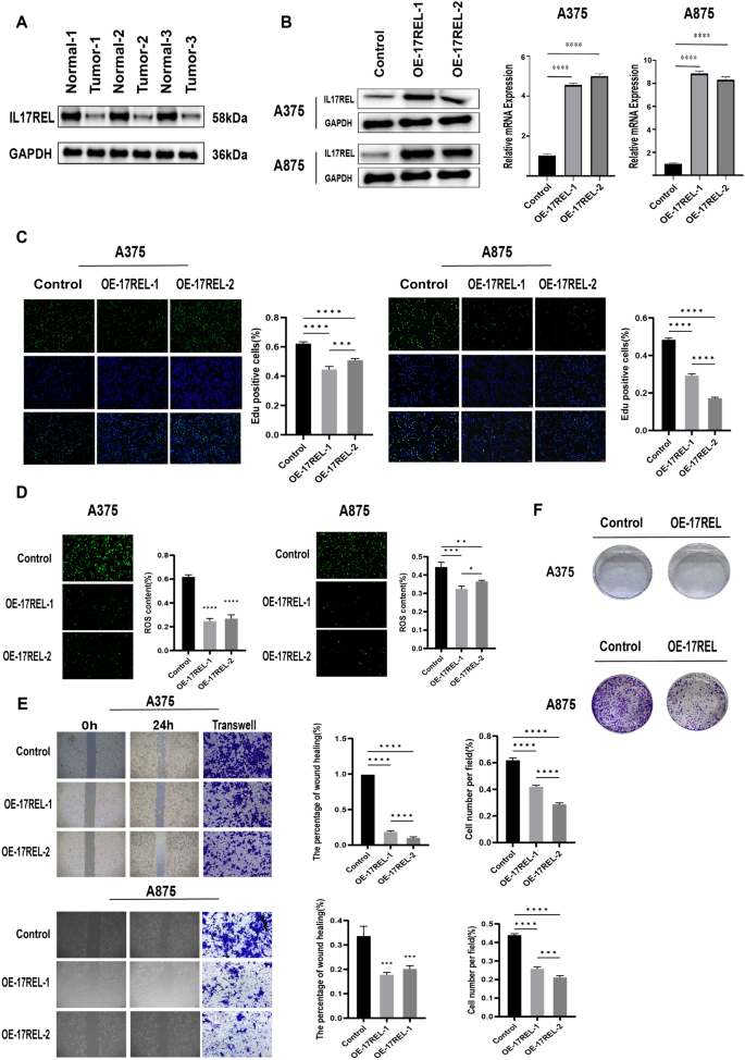 what is the outcome variable in research figure 8