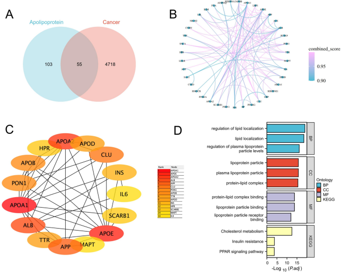 Exploring the evolving role of apolipoproteins in oncology: global ...