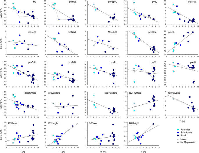 Negative Allometric Growth During Ontogeny In The Large Pelagic Filter Feeding Basking Shark Springerlink Negative Allometric Growth During Ontogeny In The Large Pelagic Filter Feeding Basking Shark Springerlink