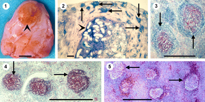 figure 1-5