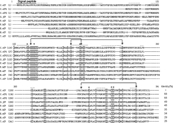 Molecular Characterization And Expression Of A Cysteine Protease From Clonorchis Sinensis And Its Application For Serodiagnosis Of Clonorchiasis Springerlink Molecular Characterization And Expression Of A Cysteine Protease From Clonorchis Sinensis And Its Application For Serodiagnosis Of Clonorchiasis Springerlink