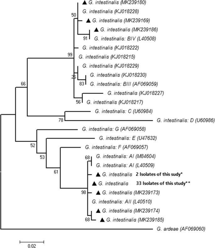 giardia species specific