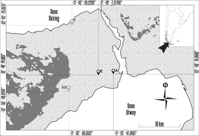 Livestock Guarding Dogs Have Minor Effects On The Parasite Burden Of Wild Carnivores Springerlink
