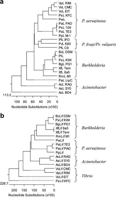 A Novel Lipase Chaperone Pair From Ralstonia Sp M1 Analysis Of The Folding Interaction And Evidence For Gene Loss In R Solanacearum Springerlink