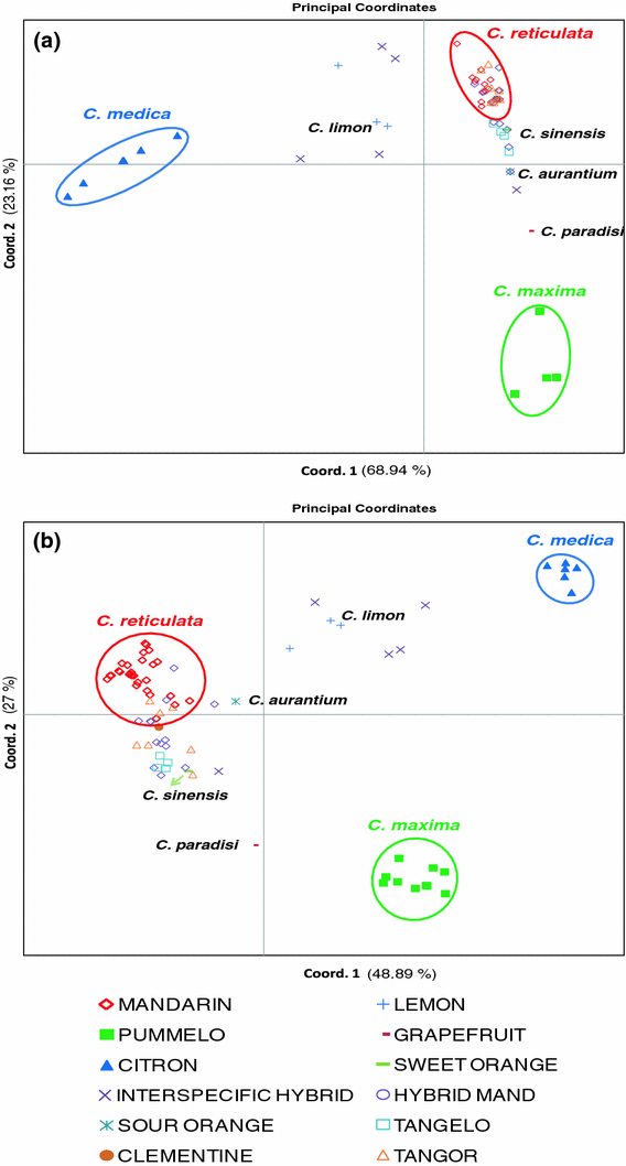 Development of InDel markers for interspecific hybridization