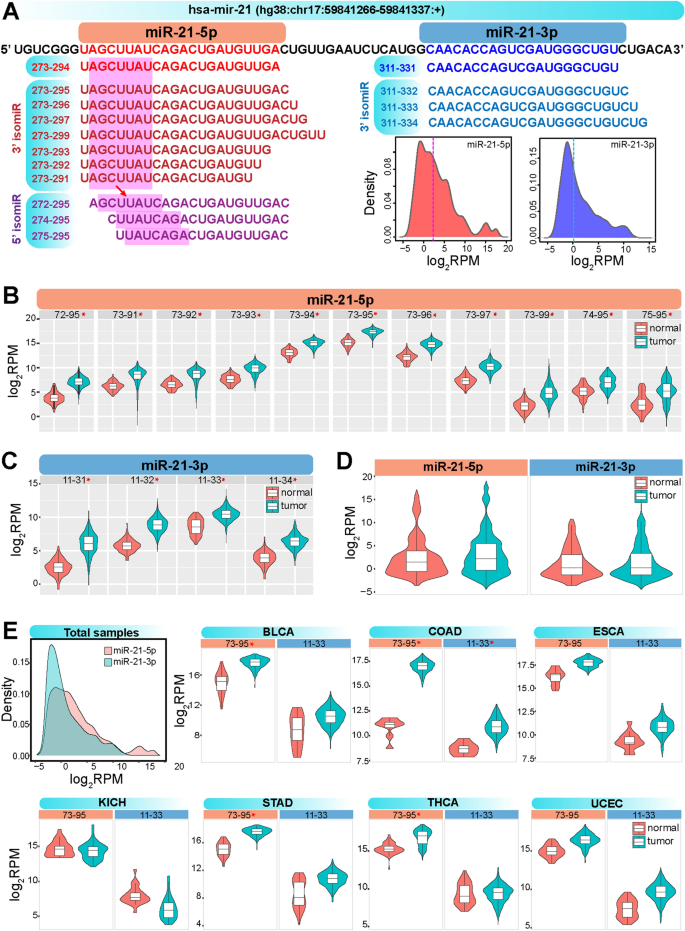 MicroRNA-411 and Its 5′-IsomiR Have Distinct Targets and Functions