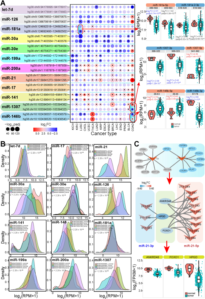 MicroRNA-411 and Its 5′-IsomiR Have Distinct Targets and Functions