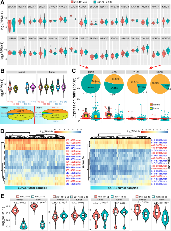 MicroRNA-411 and Its 5′-IsomiR Have Distinct Targets and Functions