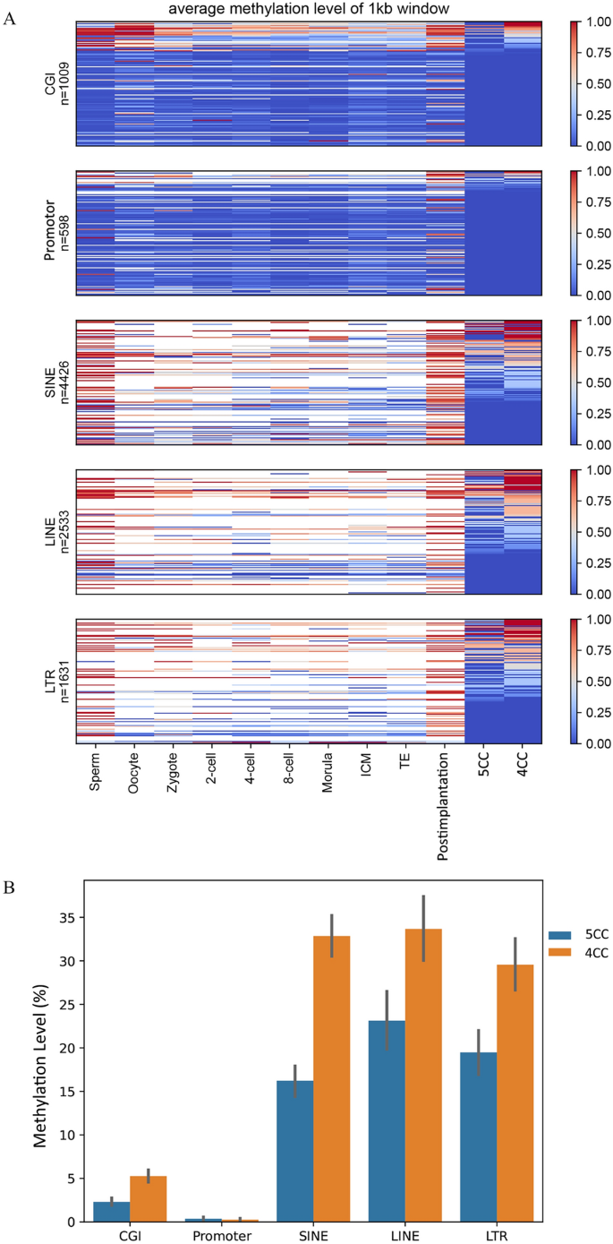 Novel MEI1 mutations cause chromosomal and DNA methylation abnormalities  leading to embryonic arrest and implantation failure | Molecular Genetics  and Genomics