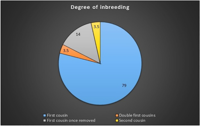 Emphasizing the need for preconceptional, prenatal genetic counseling ...