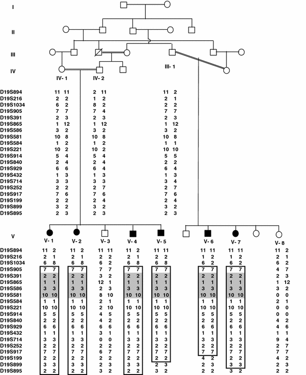 Dfnb68 A Novel Autosomal Recessive Non Syndromic Hearing Impairment Locus At Chromosomal Region 19p13 2 Springerlink