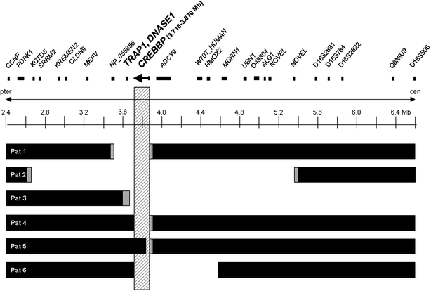 Chromosome 16p13.3 Contiguous Gene Deletion Syndrome including the SLX4,  DNASE1, TRAP1, and CREBBP Genes Presenting as a Relatively Mild Rubinstein- Taybi Syndrome Phenotype: A Case Report of a Saudi Boy. - Document 