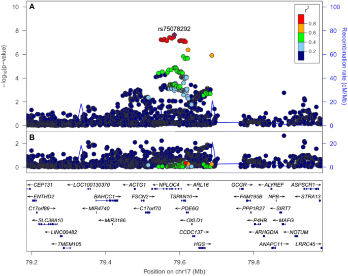 A Commonly Occurring Genetic Variant Within The Nploc4 Tspan10 Pde6g Gene Cluster Is Associated With The Risk Of Strabismus Springerlink