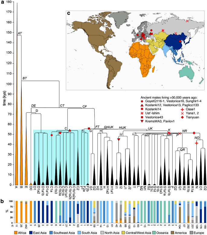 Chromosome haplogroup y List of