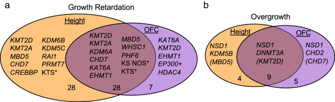 PDF) The behavioral phenotype of Rubinstein–Taybi syndrome: A scoping  review of the literature