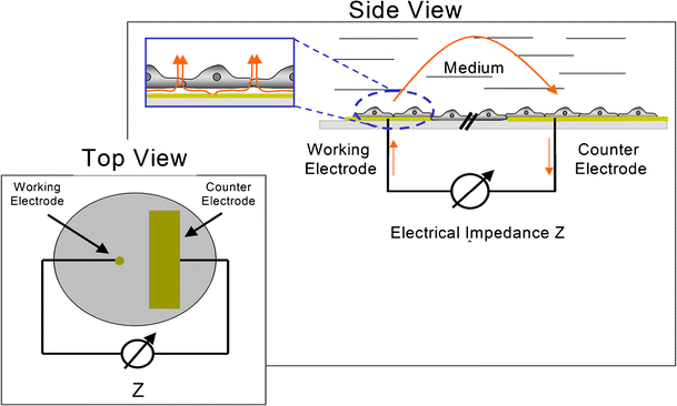 figure 8