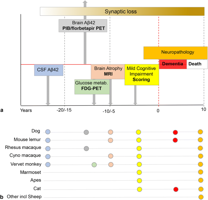 Utility of spontaneous animal models of Alzheimer's disease in preclinical efficacy studies | SpringerLink Utility of spontaneous animal models of Alzheimer's disease in preclinical efficacy studies | SpringerLink