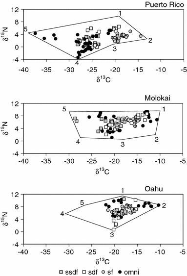Food Web Structure In Exotic And Native Mangroves A Hawaii Puerto Rico Comparison Springerlink Food Web Structure In Exotic And Native Mangroves A Hawaii Puerto Rico Comparison Springerlink