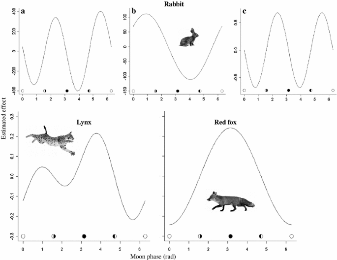 Responses Of A Top And A Meso Predator And Their Prey To Moon Phases Springerlink Responses Of A Top And A Meso Predator And Their Prey To Moon Phases Springerlink