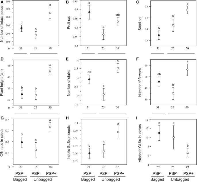 Pre Dispersal Seed Predators Boost Seed Production In A Short Lived Plant Springerlink